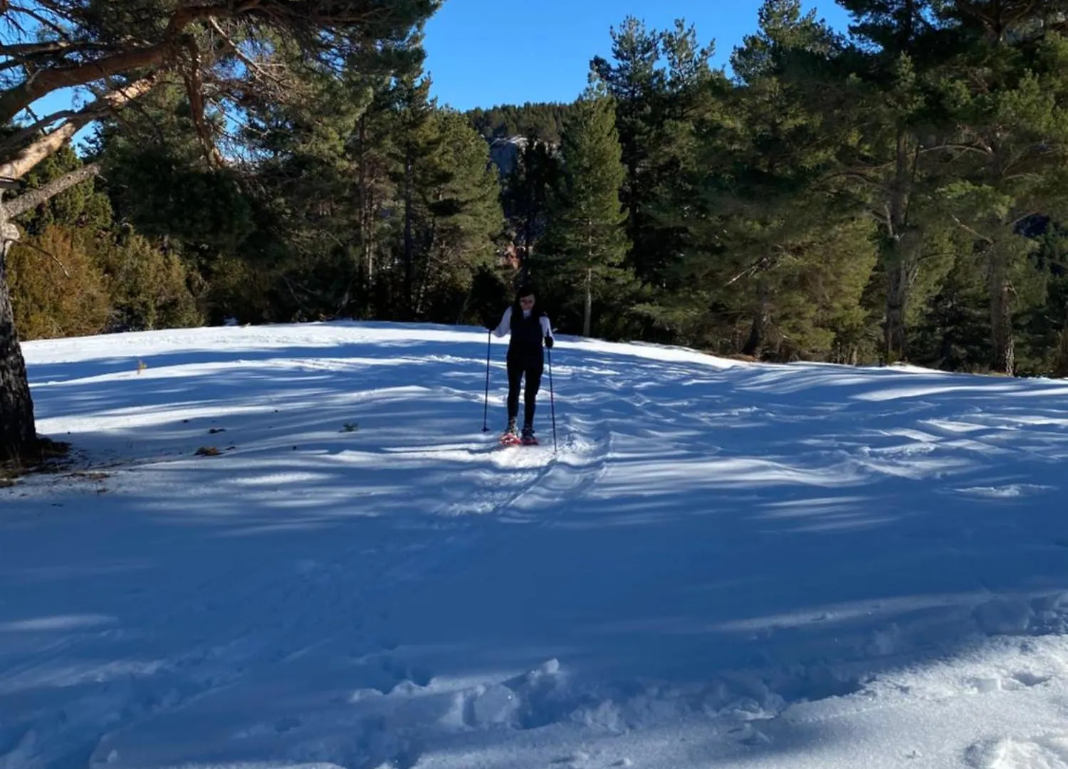 Vallcebre Cal Carol 아파트 스페인